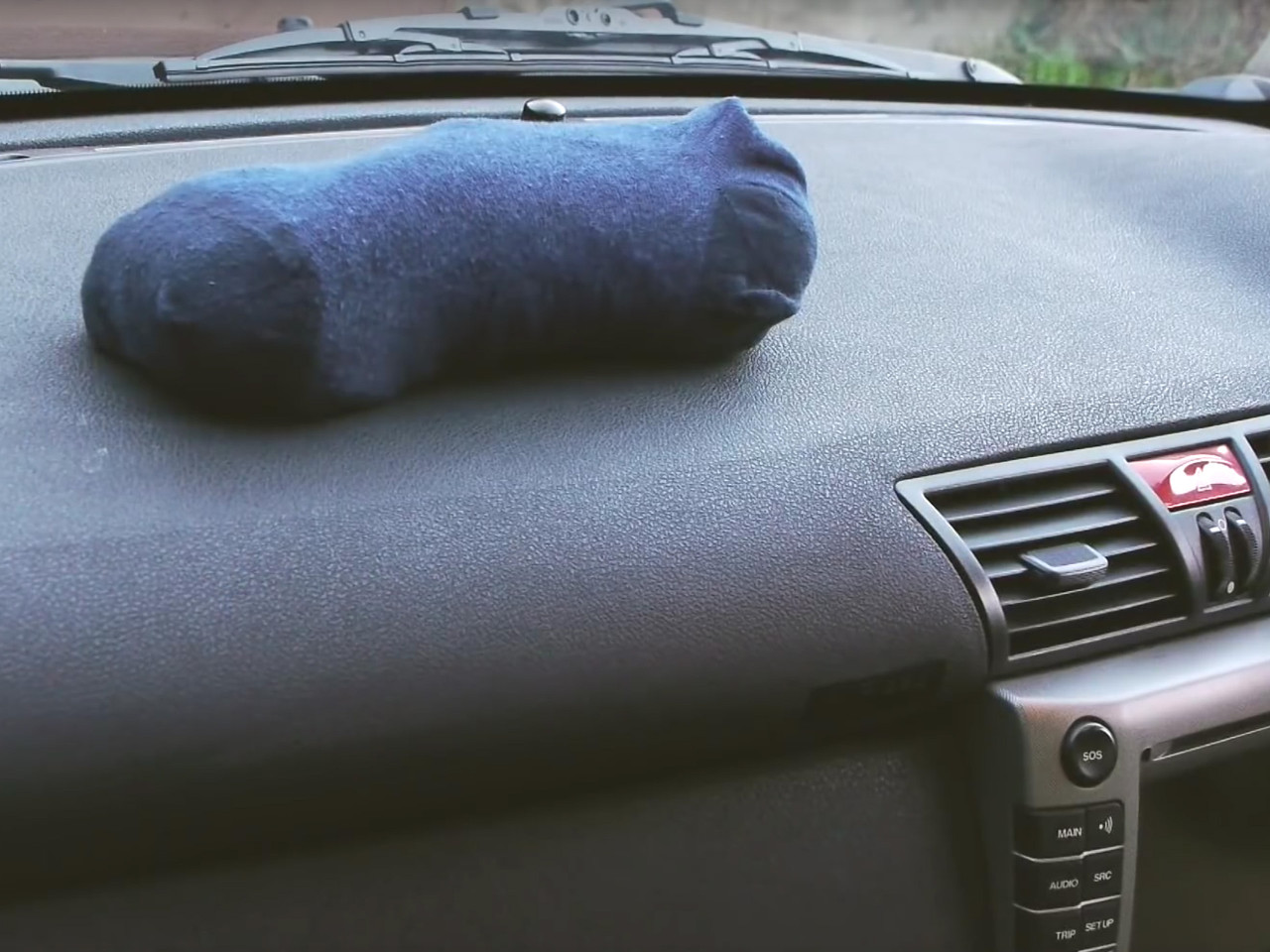 Katzenstreu gegen Feuchtigkeit im Auto (Anleitung)