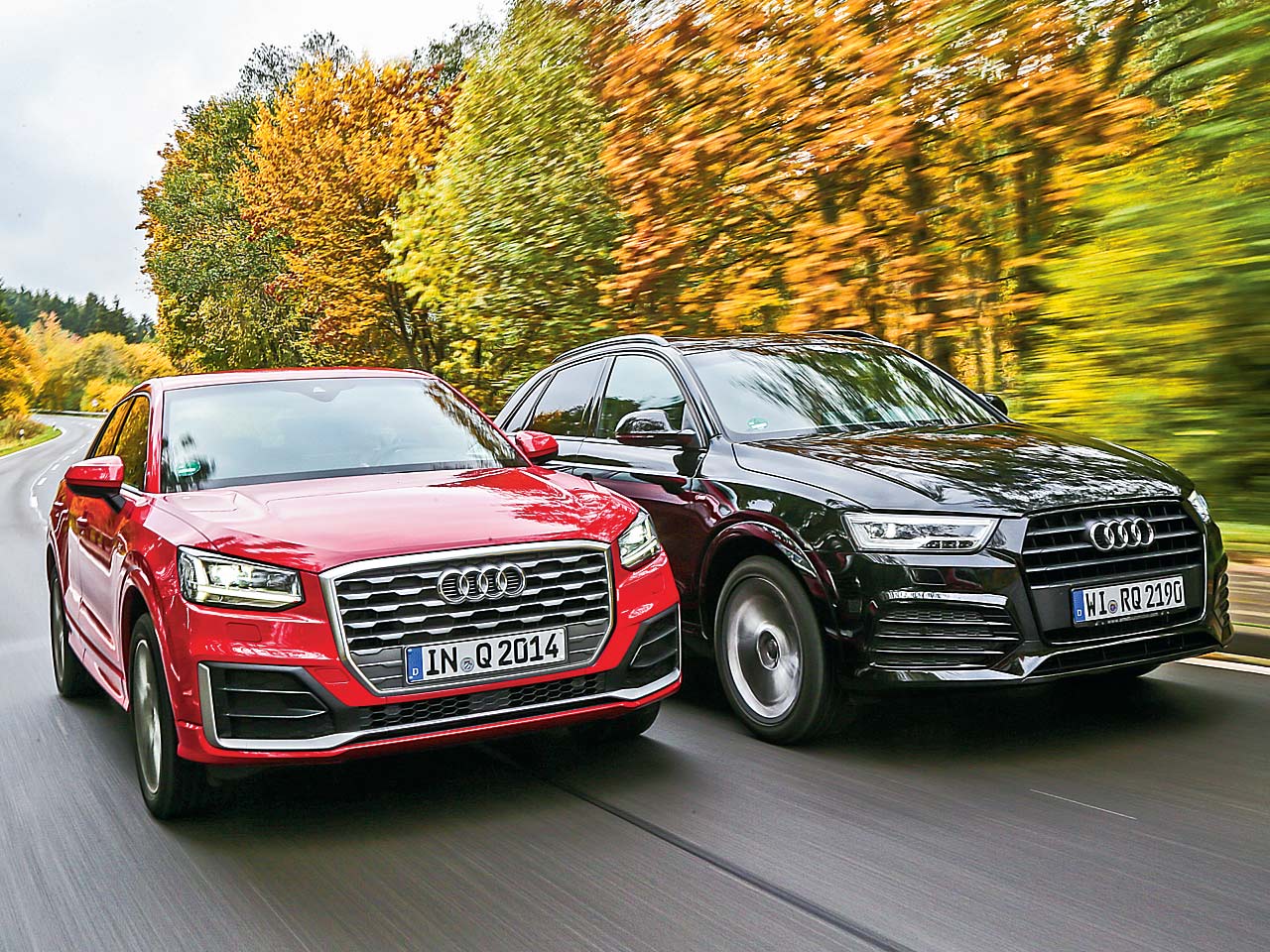 Audi Q2/Audi Q3: Vergleichstest