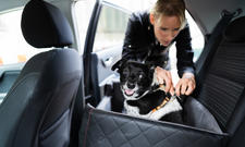 PFA-Hundedecke / Hundematte geeignet für Rücksitz oder Kofferraum