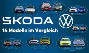 Skoda und VW im große Markenvergleich; Collage mit sieben Fahrzeugpaarungen