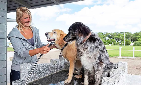 Hundedusche bei Ostsee Camoing