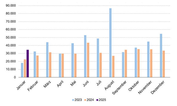 Zulassungszahlen E-Autos 2025, 2024 und 2023 als monatliche Statistik