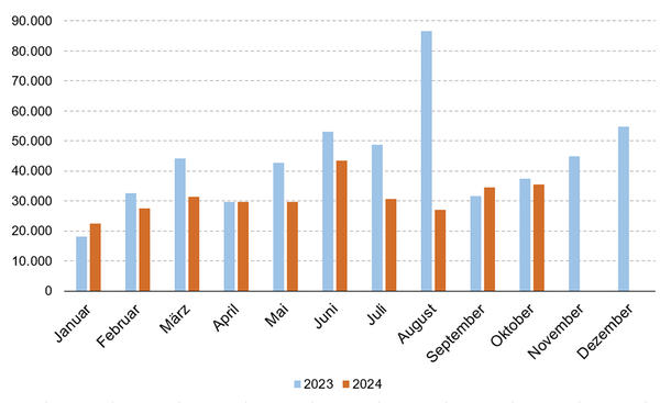 E-Auto-Neuzulassungen 2023/2024 als Monatsstatistik