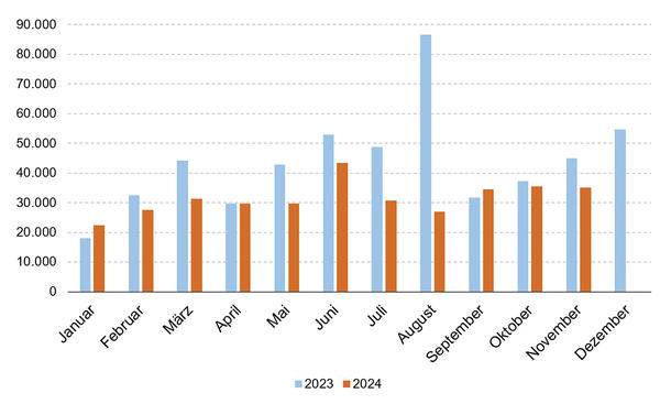 Statistik zu Neuzulassungen von E-Autos von Januar 2023 bis November 2024 in Deutschland