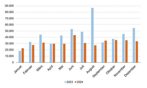 Zulassungszahlen E-Autos 2024 und 2023 als monatliche Statistik